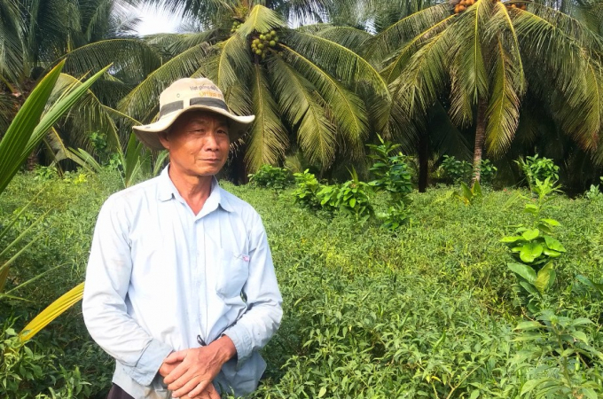 tien-giang-nong-dan-kham-kha-nho-mo-hinh-trong-ot-142039_20201231_413.jpg Mô hình trồng ớt trên đất ruộng giúp nông dân thích nghi với biến đổi khí hậu. Ảnh: Minh Đảm.