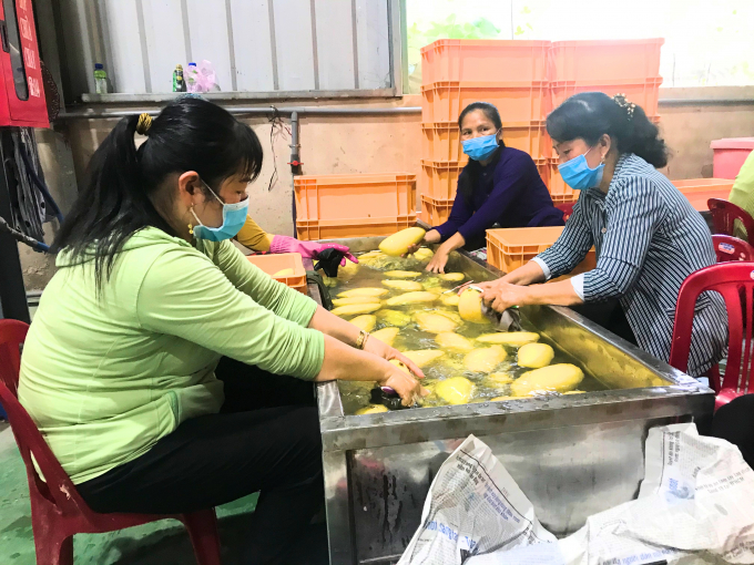 Công nhân làm việc tại Nhà máy chế biến nông sản Cát Tường. Ảnh: Minh Đảm.