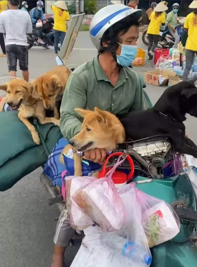 1-180050_293.jpg 15 con chó theo 2 vợ chồng anh Hùng về từ Long An.