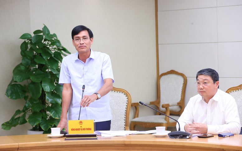 Gỡ vướng khai thác khoáng sản: Xử lý ngay bất cập cấp bách, sửa đổi luật bài bản, căn cơ- Ảnh 3.