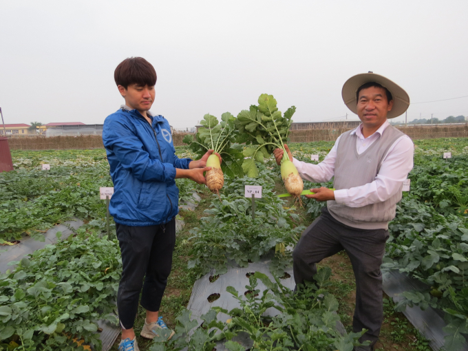 High quality vegetables and fruits varieties were produced by the VAAS, which helped restructure the agricultural sector in recent years. Photo: Le Ben.