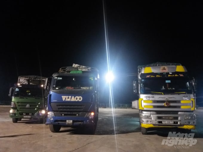 lo-500-con-lon-thit-dau-tien-nhap-tu-thai-lan-da-ve-viet-nam-221914_20200617_230.jpg Các xe chở lợn hoàn thành thủ tục chuẩn bị vào nội địa. Ảnh: CĐ.