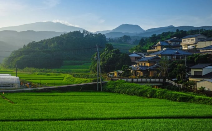 chinh-083653_364.jpeg Cuộc khảo sát vào năm 2018, chỉ có 23% cư dân đô thị Nhật Bản cho biết họ hy vọng một ngày nào đó sẽ chuyển về vùng nông thôn. Ảnh: Getty Images