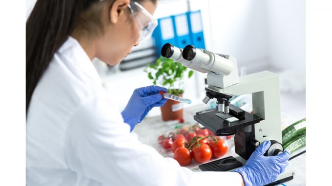 Chính phủ Thái Lan đang khuyến khích các khu vực đẩy mạnh đầu tư vào lĩnh vực công nghệ thực phẩm. Ảnh: The Nation