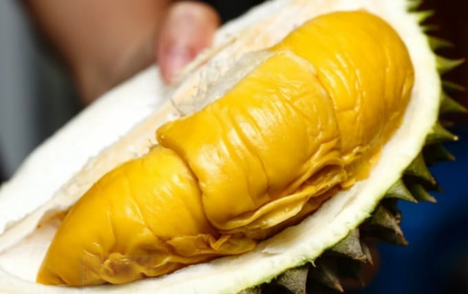 Sầu riêng Musang King của Malaysia. Ảnh: SCMP