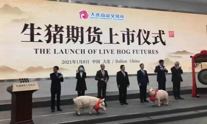 Lễ khai trương sàn giao dịch lợn hơi Đại Liên. Ảnh: Global Times