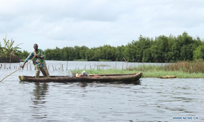  A man rows in a flooded field in the village of Djegbadji, in Ouidah, Benin, June 21, 2021. Photo: Xinhua