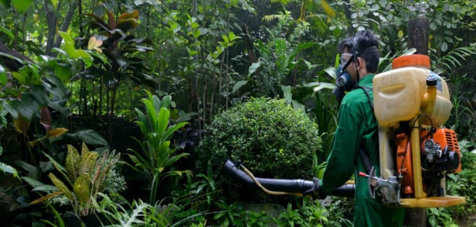 Pest control services in Manila, Philippines. Photo: Topbest