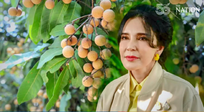 screenshot_1629863518-105214_419.jpeg Thứ trưởng Bộ Nông nghiệp và Hợp tác xã Thái Lan Mananya Thaiset đã cảm ơn quyết định của Trung Quốc và hy vọng các nhà xuất khẩu nhãn của Thái Lan sẽ cải thiện hồ sơ của họ để phù hợp với yêu cầu của thị trường. Ảnh: The Nation