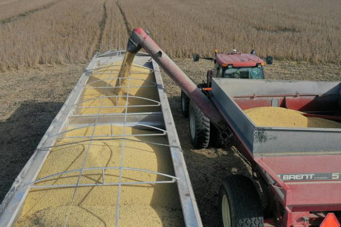 About 11.5bn lbs of soyabean oil will be used to make biofuels in the US this year, according to the Department of Agriculture. Photo: Getty
