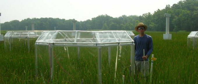 adamlangley_nitrogenexperiment-1-105731_728.jpg Bón thừa phân nitơ (đạm) dẫn đến các vấn đề môi trường trong các hệ thống nông nghiệp hiện đại. Ảnh: Getty