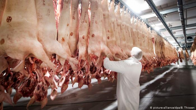 The pandemic has also cast a light on the poor conditions in the meat processing industry. Germany has seen several coronavirus outbreaks among meat factory employees, and has even put two districts in western Germany in quarantine after more than 1,550 workers at the Tönnies slaughterhouse were infected with the disease. Photo: DW