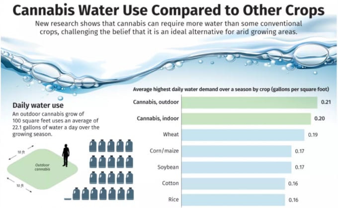Source: Journal of Cannabis Research, 2021