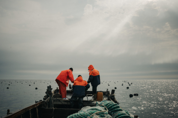 Aquaculture operations that need to leave the coast for environmental reasons have been moving offshore, freeing up coastal areas for restoration or sustainable development Photo: Liu Yuyang