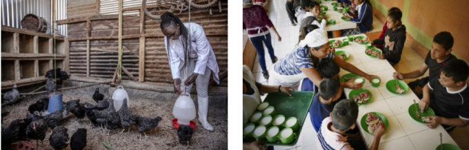 Với các khóa học của FAO, bạn có thể tìm hiểu kiến thức về cách chúng ta có thể biến nông nghiệp trở thành một lĩnh vực bền vững, toàn diện hơn thông qua bình đẳng giới hoặc cách thúc đẩy dinh dưỡng thông qua các chương trình nuôi dưỡng học đường. Ảnh: Luis Tato; Pep Bonet.