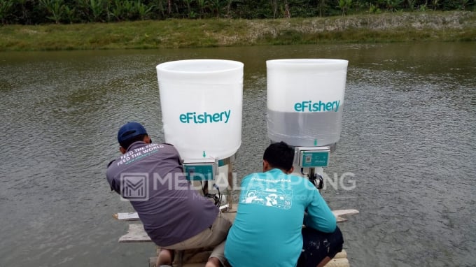 Indian fish farmer network Aquaconnect raises $4m from AgFunder, others. Photo: eFishery