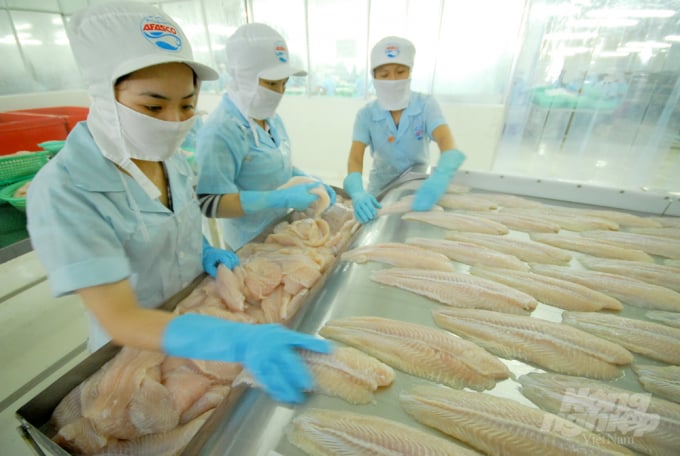 che-bien-ca-tra-xuat-khau--anh-lhv-170919_568.jpg Chế biến cá tra xuất khẩu. Ảnh: LHV.