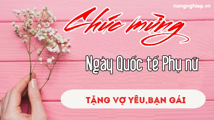 loi-chuc-8-3-cho-vo-ban-gai_nongnghiep-150121_280.jpg Lời chúc 8/3 cho vợ yêu, người yêu ngọt ngào, ý nghĩa nhất năm 2022