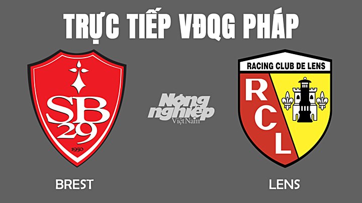 truc-tiep-bong-da-brest-vs-lens-21-11-152328_171.jpg Trực tiếp bóng đá VĐQG Pháp 2022 giữa Brest vs Lens hôm nay 21/11/2021