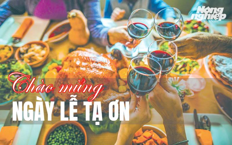 ngay-le-ta-on-100656_408.jpg Tổng quan về ngày Lễ Tạ Ơn