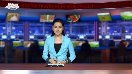 my-linh-232131_818.jpg MC Mỹ Linh dẫn chương trình bản tin truyền hình của Báo Nông nghiệp Việt Nam.