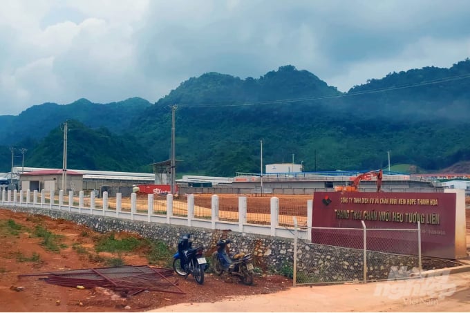 z2545406008138_55192185e44f0d165d58380695031c95-091503_308.jpg Sự cố môi trường từ trang trại chăn nuôi lợn New Hope Thanh Hóa gây ra hiện tượng cá chết. Ảnh: VD.
