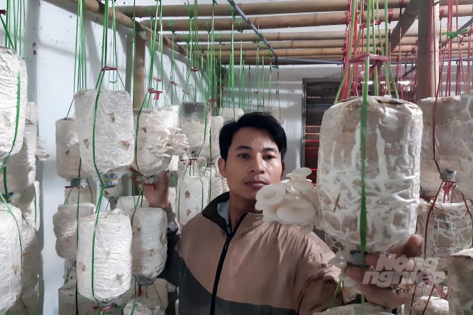Mô hình trồng nấm hữu cơ trong nhà của hộ dân Hoàng Thị Kén. Ảnh: Công Điền.
