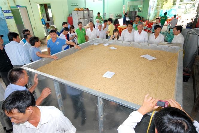 14-04-20_bg-3-he-thong-lo-sy-vi-ngng-cu-ong-duoc-khch-hng-gn-x-den-dt-hng-lp-gp