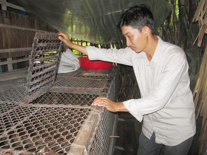 14-23-45_nh-nhi-ben-mo-hinh-nuoi-chon-muop-cu-gi-dinh