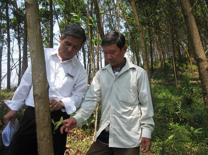 17-14-56_ong-don-trong-phuc-ben-phi-dng-kiem-tr-rung-keo-cu-gi-dinh