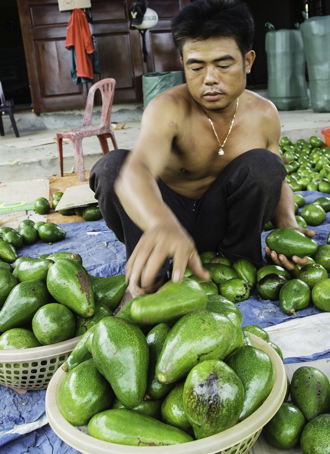 08-07-19_bo-gio-linh-2