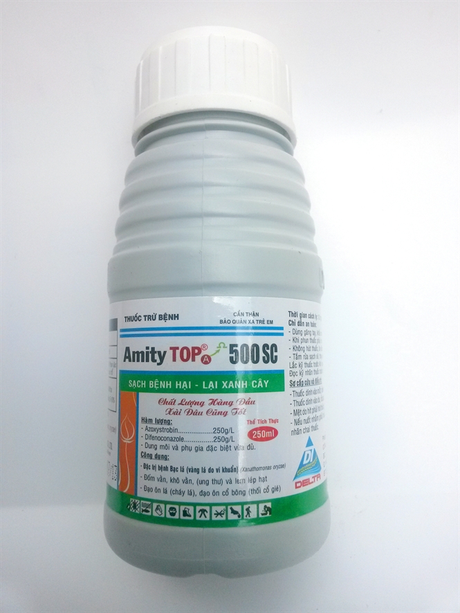 onh-sun-phm-mity-top-500sc104848544