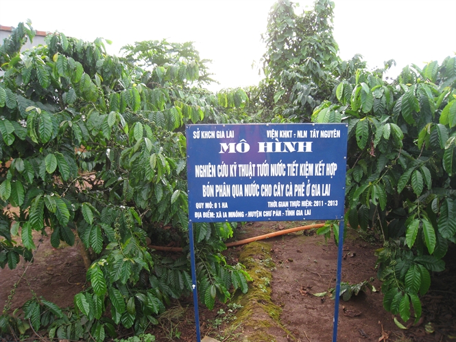 13-57-05_cc-mo-hinh-tuoi-tiet-kiem-trien-khi-cc-vuon-c-phe-o-gi-li-cho-ket-qu-rt-kh-qun-1
