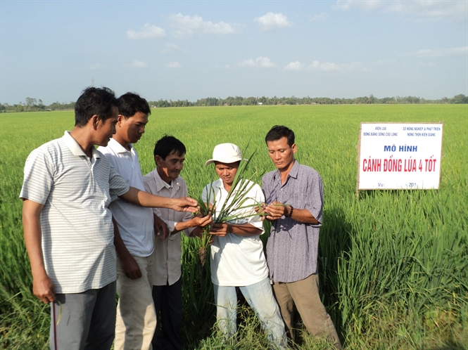 16-30-45_2-cnh-dong-lu-4-tot-trong-mo-hinh-pht-trien-sn-xut-ox-ntm-dinh-ho