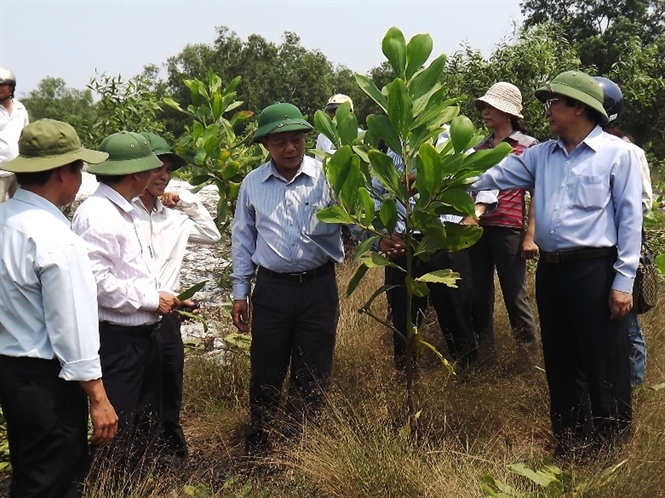 14-31-40_luoi-liem-2
