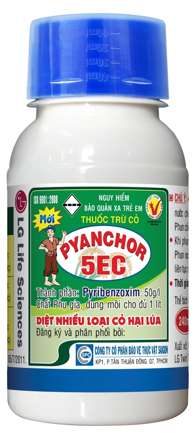 pynchor-5ec-240ml161949705