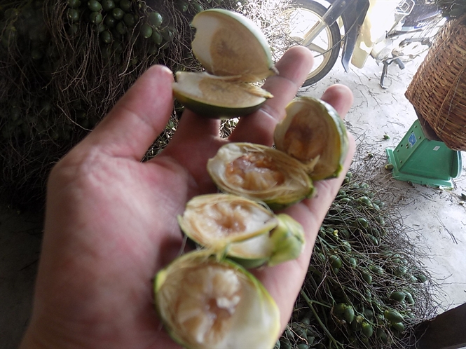 12-38-35_cu-mu-phi-l-cu-non-cn-r-con-nuoc