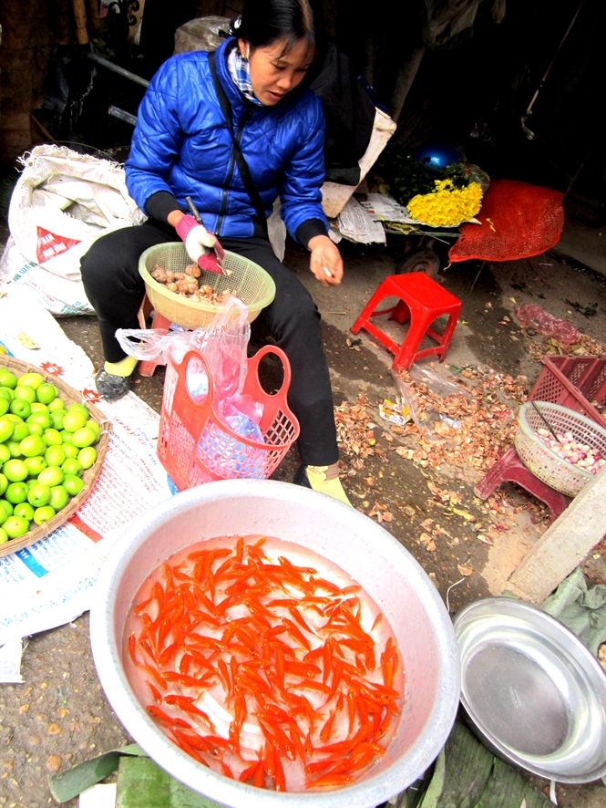 21-26-25_gn-ngy-23-cc-hng-qun-o-lng-thuy-trm-khong-thieu-nhung-chu-chep-do
