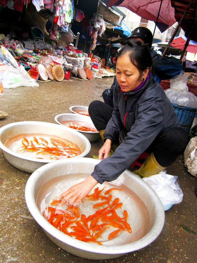 21-26-25_nguoi-dn-by-bn-c-chep-do-ti-cho-phien