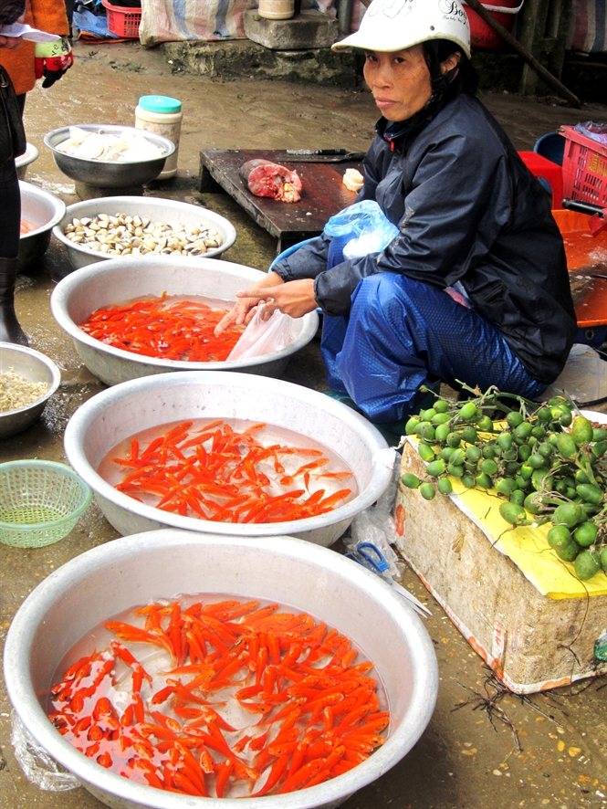 21-26-25_nhung-chu-c-chep-do-lm-cho-phien-cho-them-sc-mu-tet