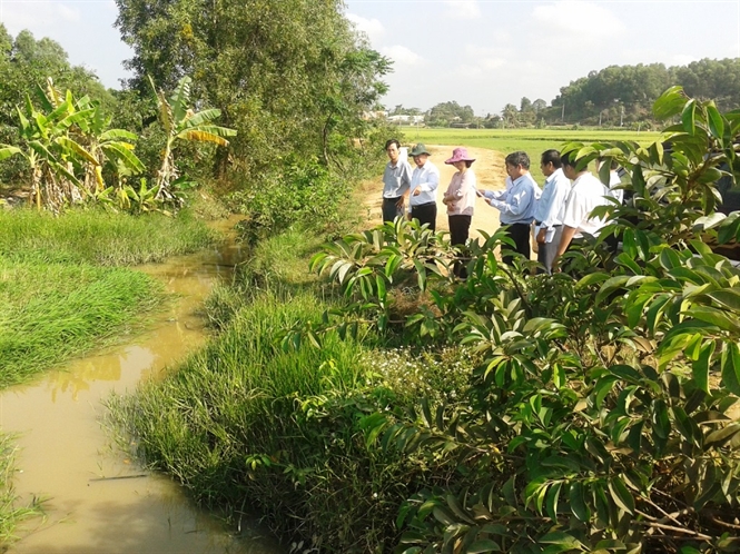 10-50-04_nh-2-vuon-cy-co-truoc-2005-khong-nh-huong-n-ton-cong-trinh-thi-duoc-tiep-tuc-khi-thc