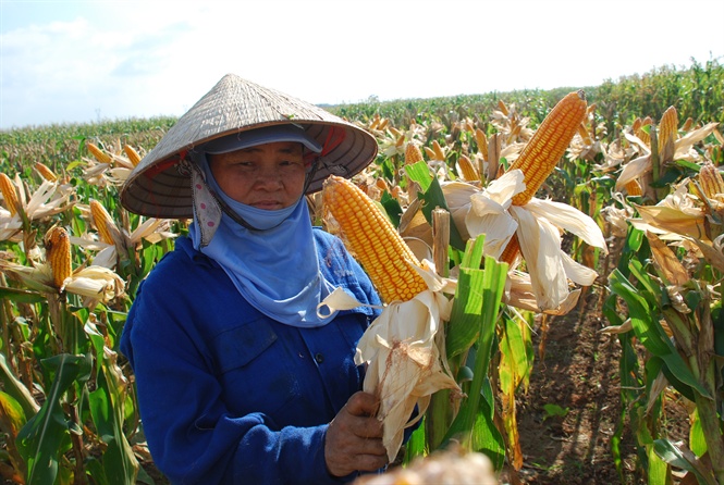 17-36-23_nong-dn-khp-noi-tin-dung