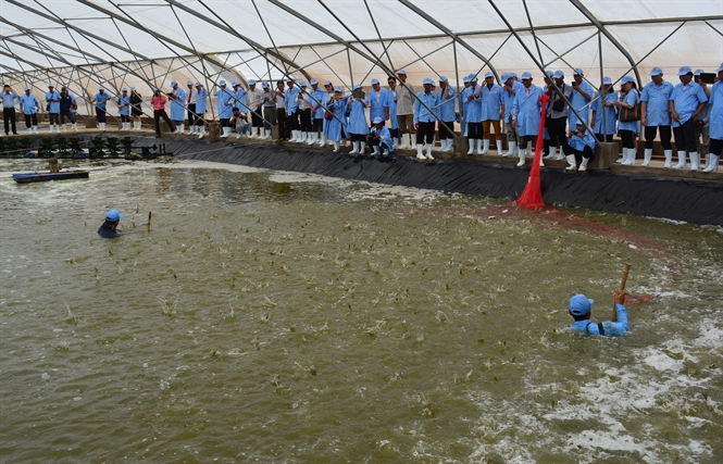 14-57-11_bi-2-di-du-ve-cong-nghe-nuoi-tom-1