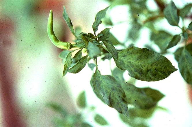 13-23-58_nh-3