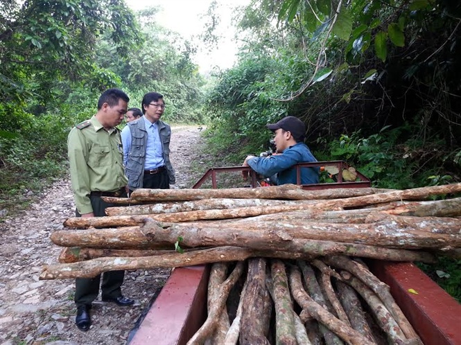 10-59-20_vn-chuyen-go-khoi-rung