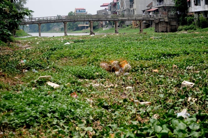 14-03-01_nuoc-sch-nong-nghiep-4