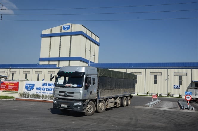 dsc-5944102539253