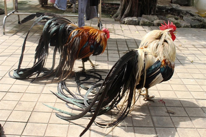 10-15-36_nh-12-g-ongdori