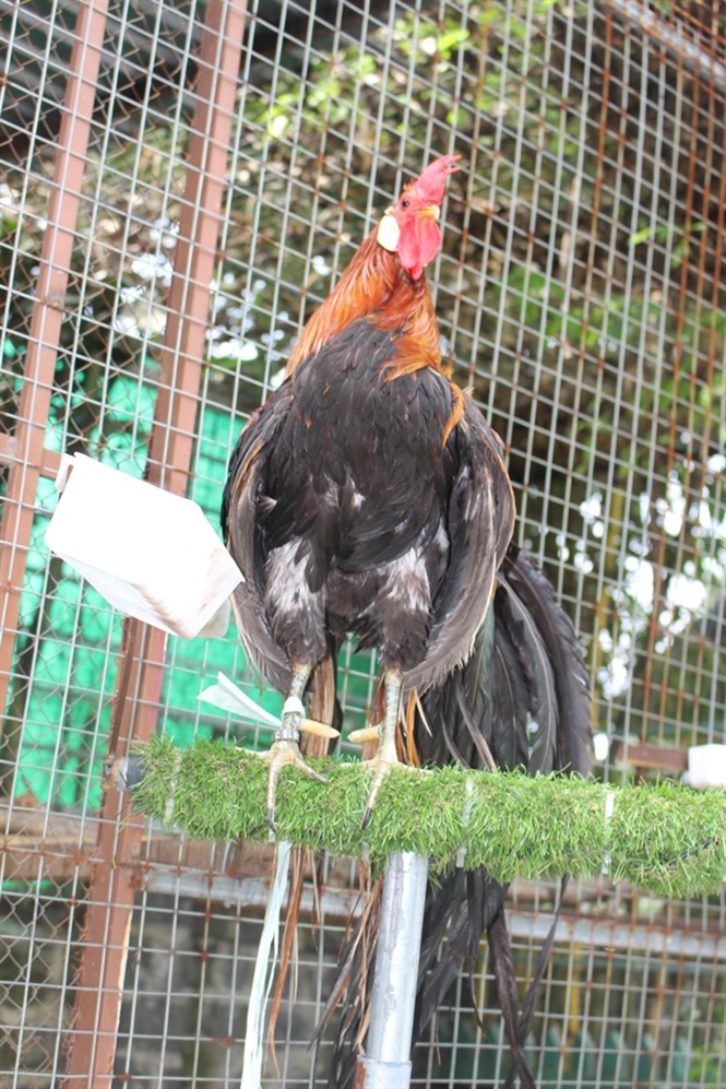 10-15-36_nh-3-g-ongdori