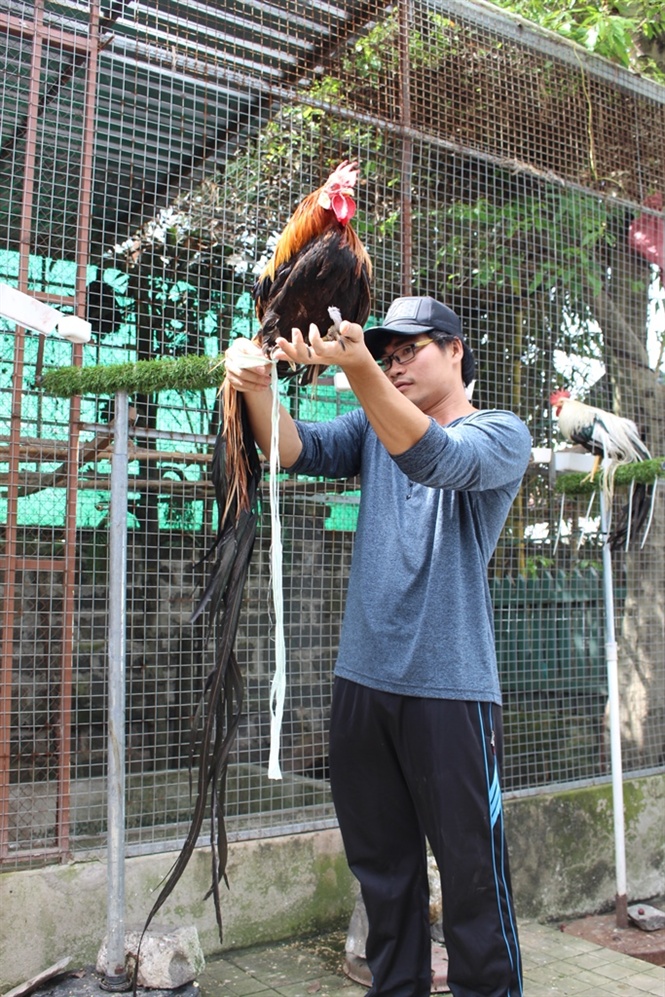 10-15-36_nh-3-gioi-choi-g-trong-nuoc-dng-me-met-giong-g-nht-ny